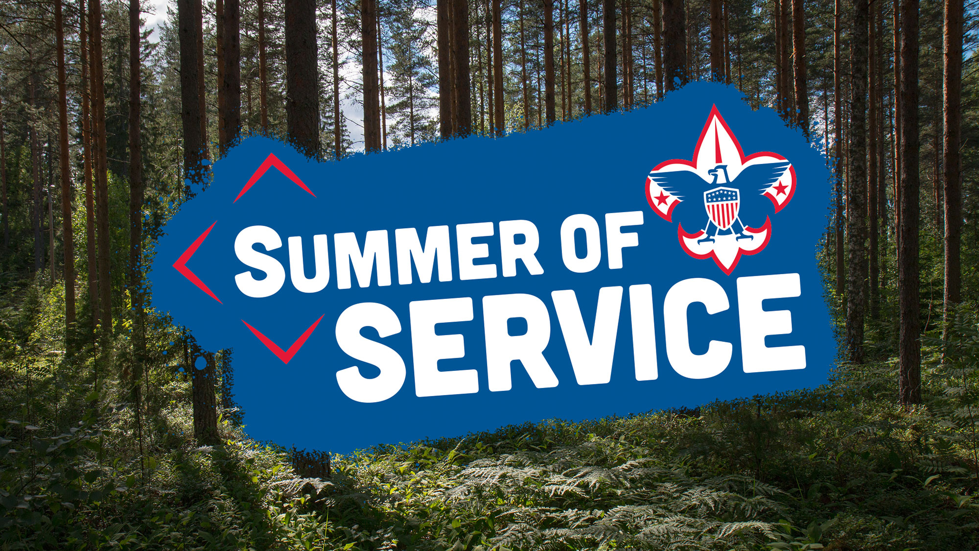 Summer of Service Logo