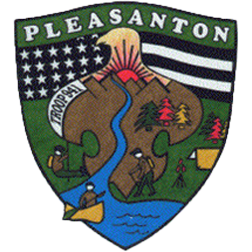 Troop 941 Pleasanton Logo