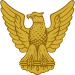 Gold Eagle Scout